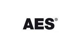 AES Technical & Executive Consultants