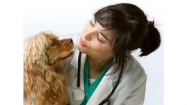Veterinary Employment Services